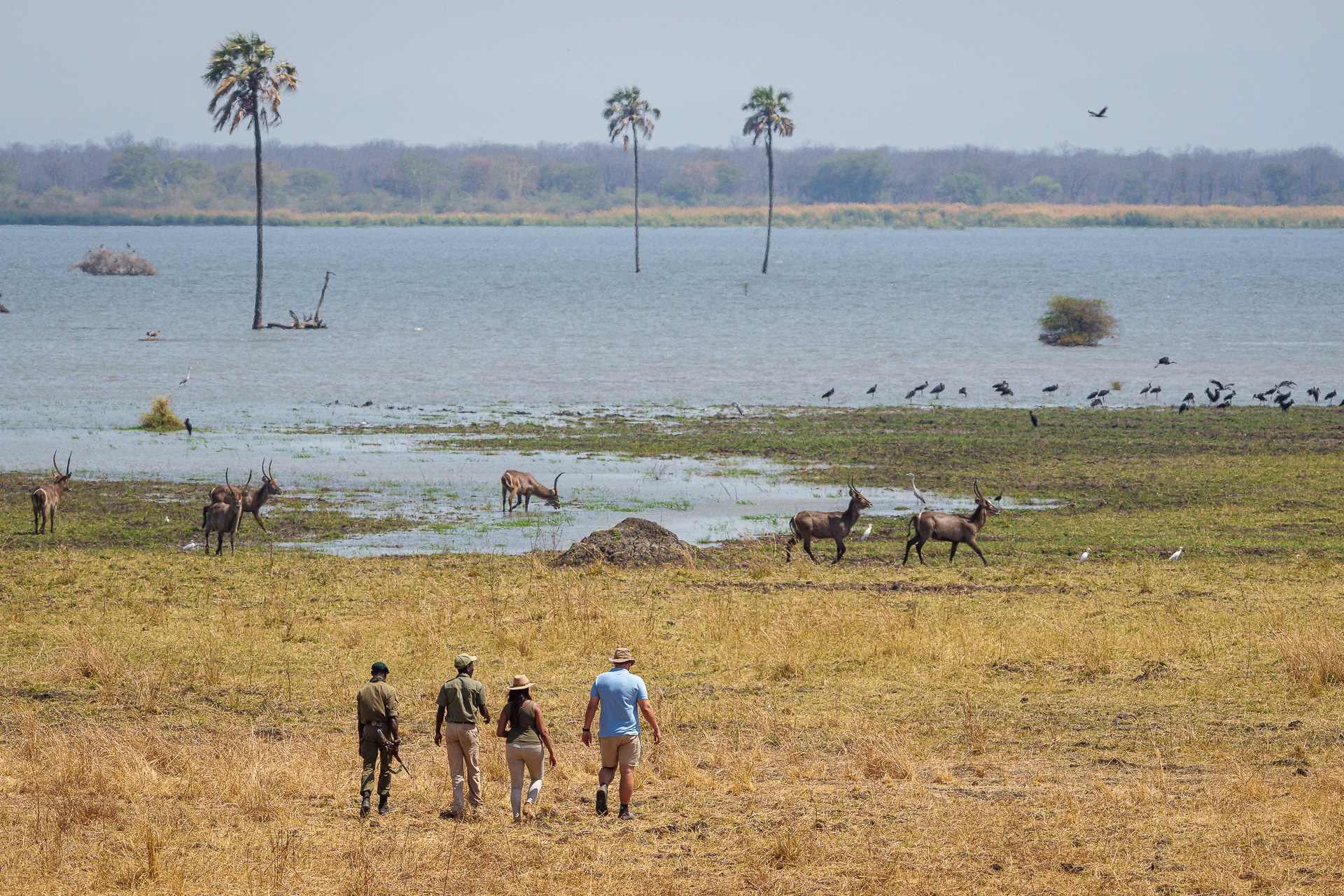 Family and Group Tours